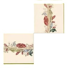 Plant & Urn Series
