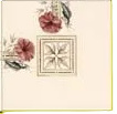 Plant & Urn Series