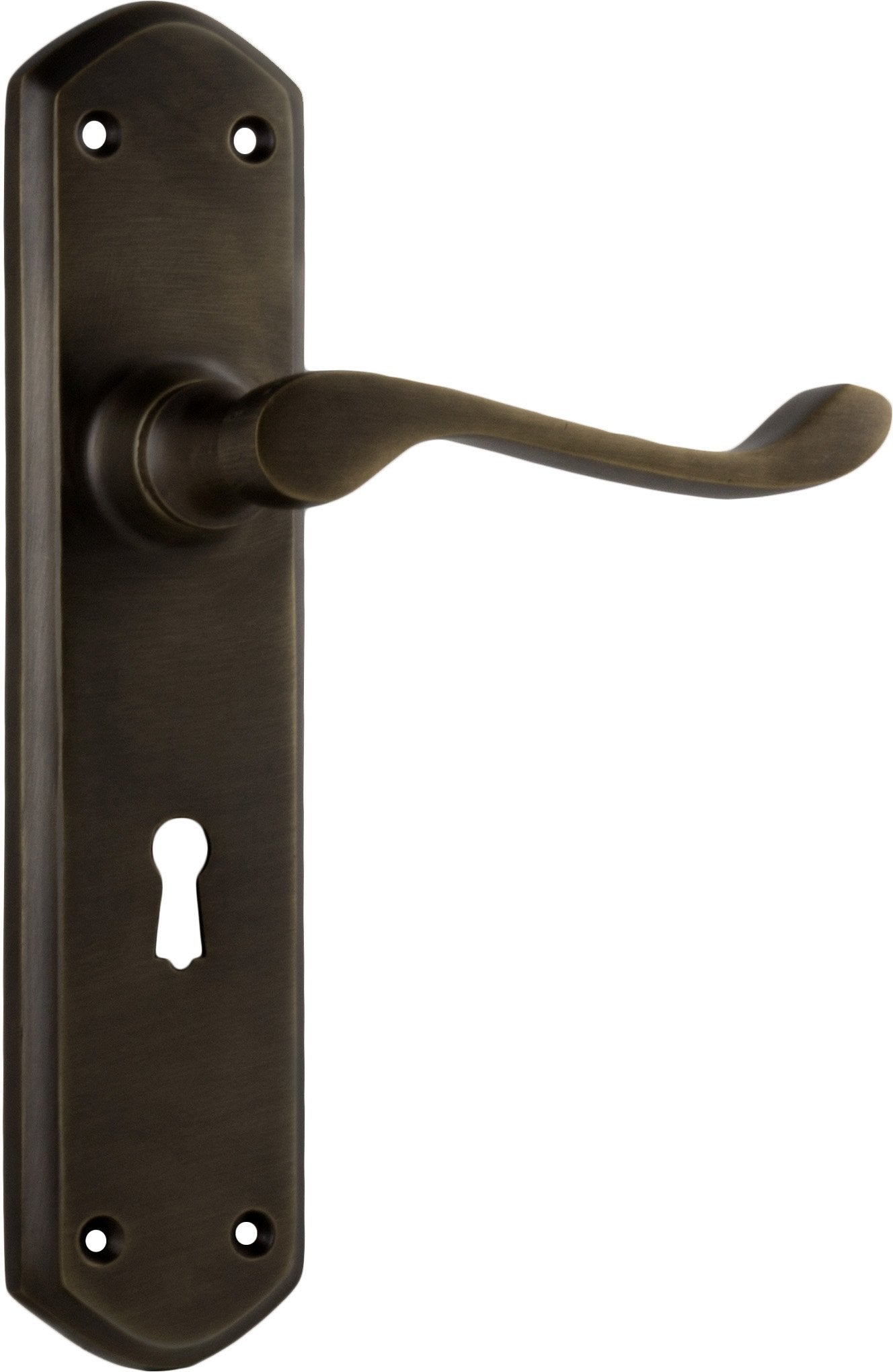 Windsor Lever - Long Backplate