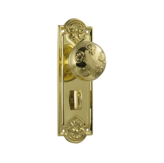 Nouveau Door Knob (Privacy) – Long Backplate - Polished Brass
