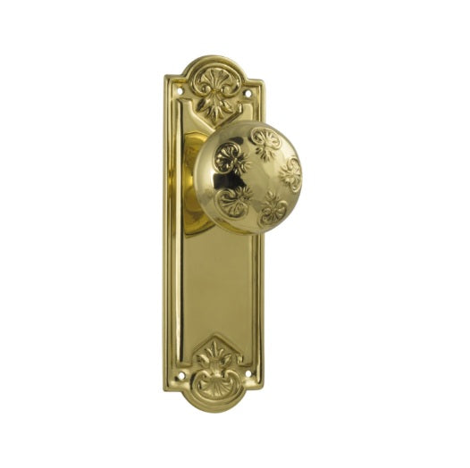 Nouveau Door Knob (Passage) – Long Backplate - Polished Brass