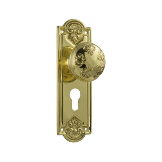 Nouveau Door Knob (Entrance) – Long Backplate - Polished Brass