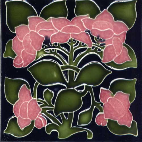 Pink Flower, Black Back