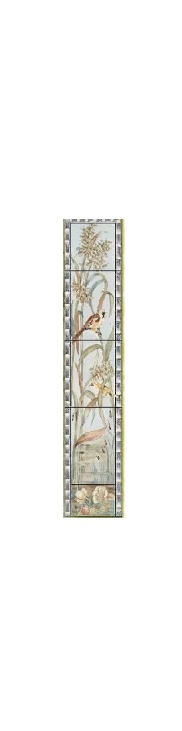 Birds & Butterfly