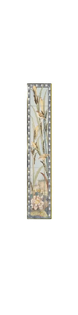 Birds & Rushes