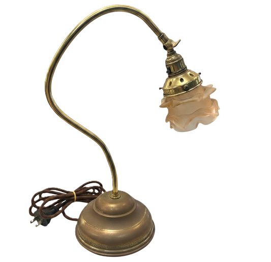 Brass Gooseneck Table Lamp