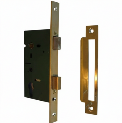 Polished brass mortice latch mechanism with an extended faceplate and a separate, matching brass strike plate. (This focuses on key visual elements for accessibility and image search.)