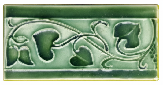 Ivy Leaf on Green Background