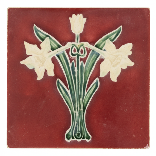 Daffodil, Burgundy Background