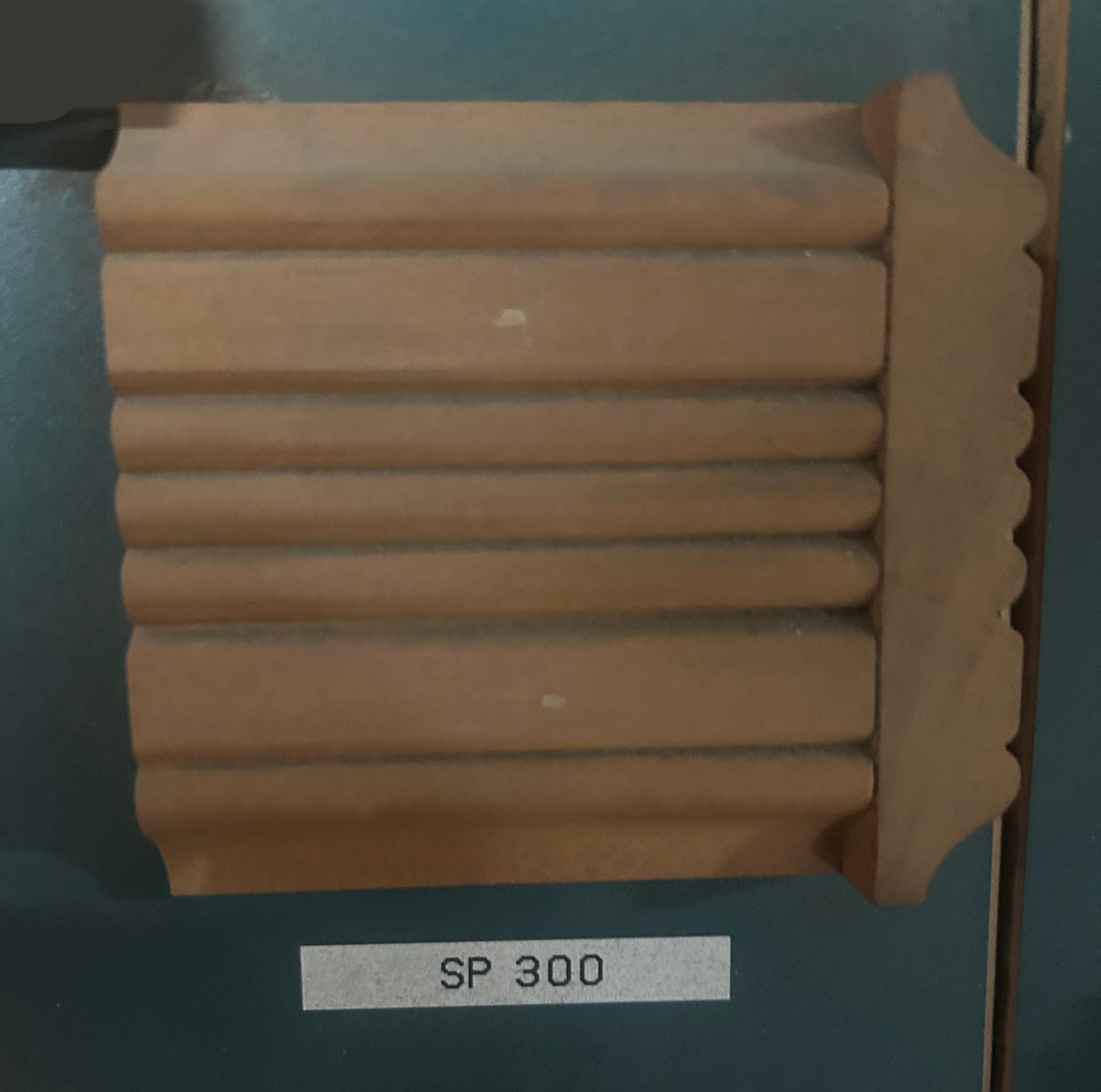 SP300