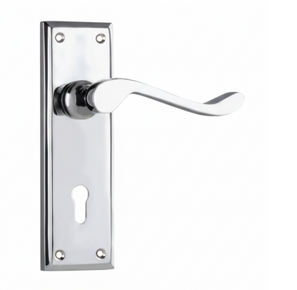Camden Lever - Long Backplate