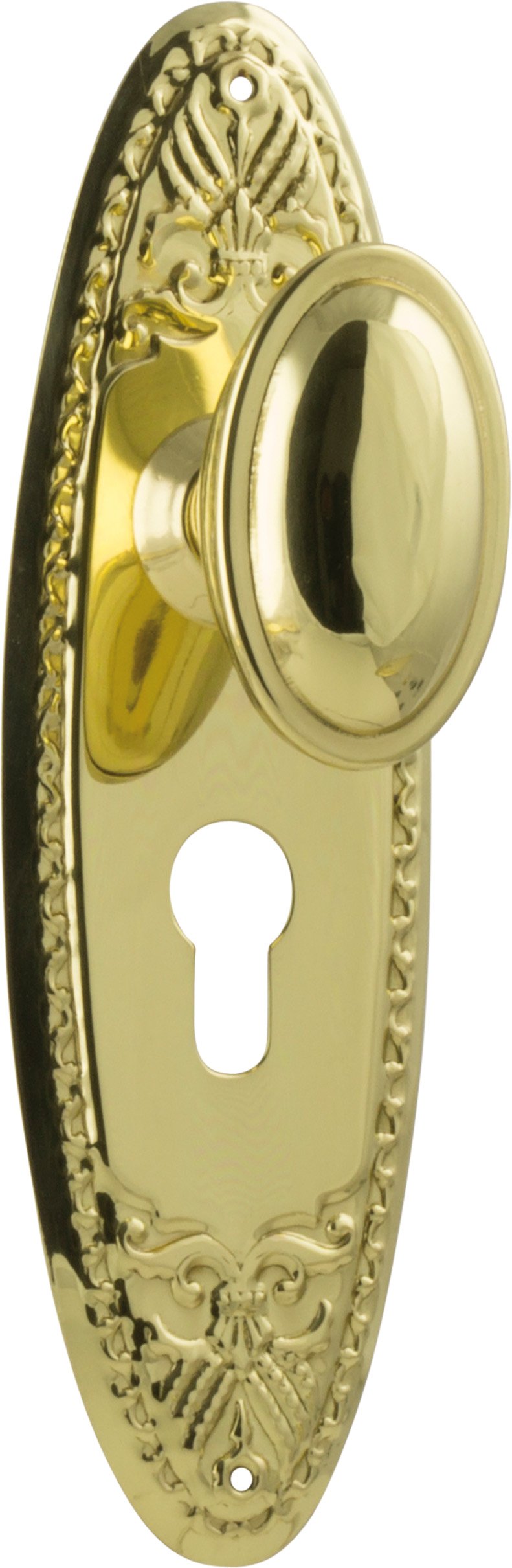 Fitzroy Knob - Long Backplate