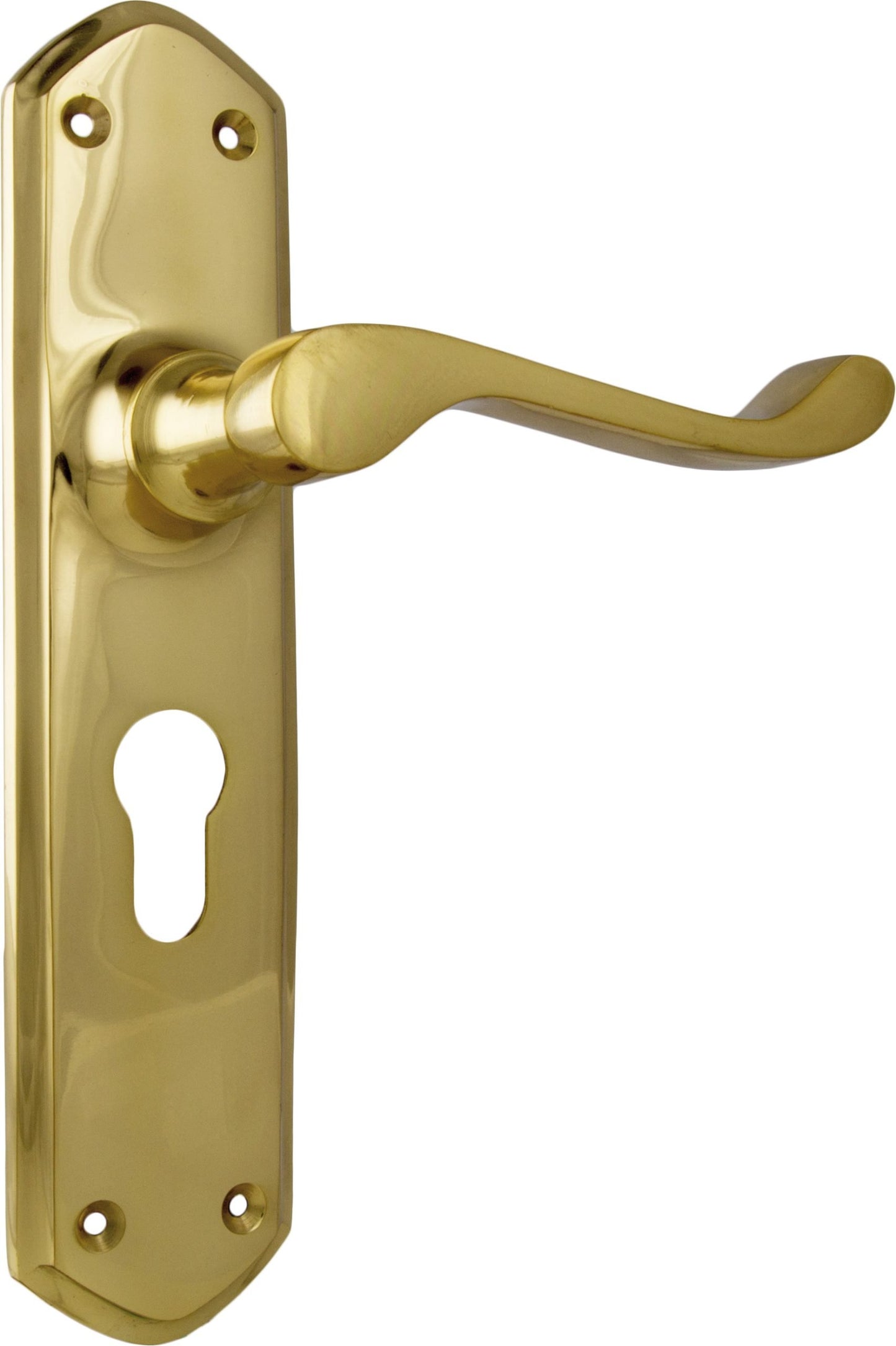 Windsor Lever - Long Backplate
