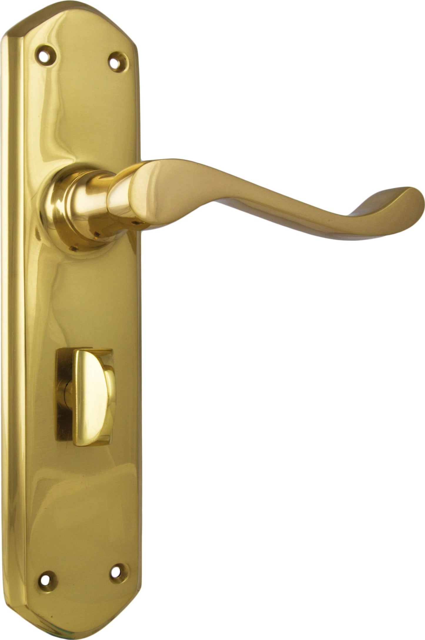Windsor Lever - Long Backplate