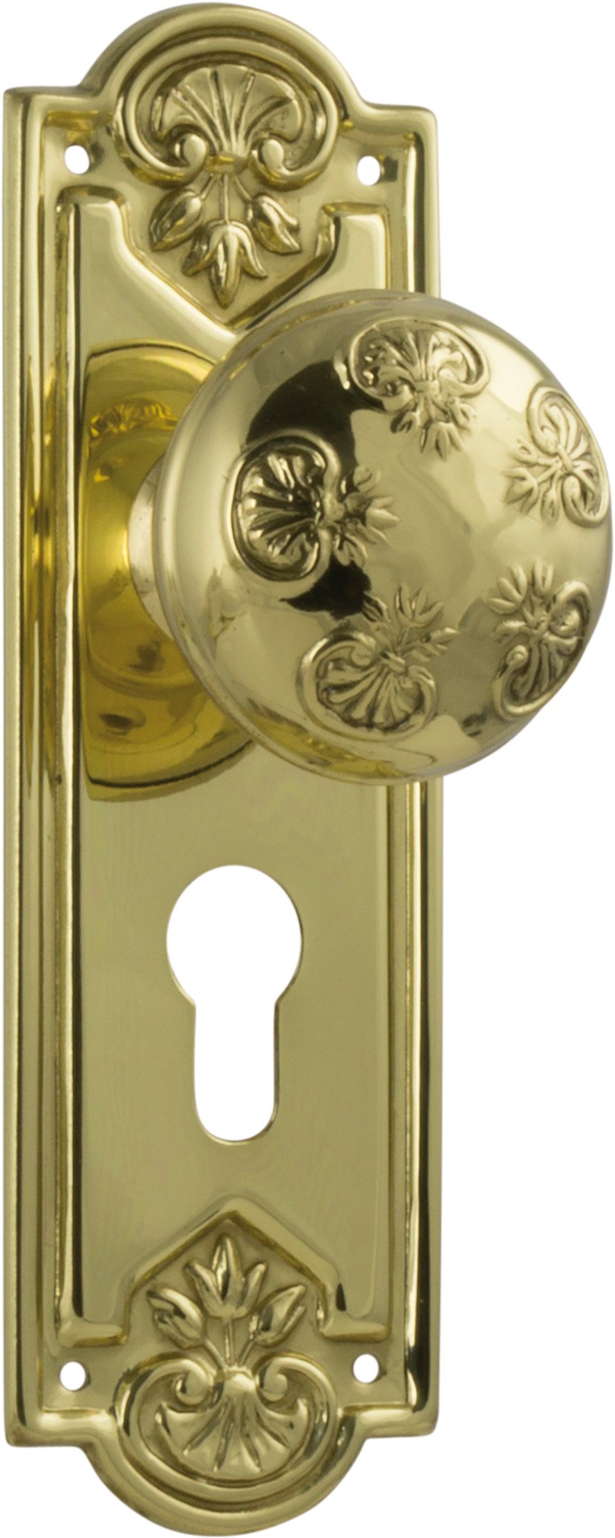 Noveau Knob - Long Backplate