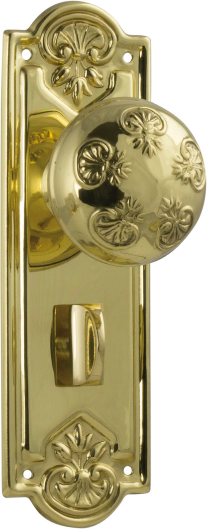 Noveau Knob - Long Backplate