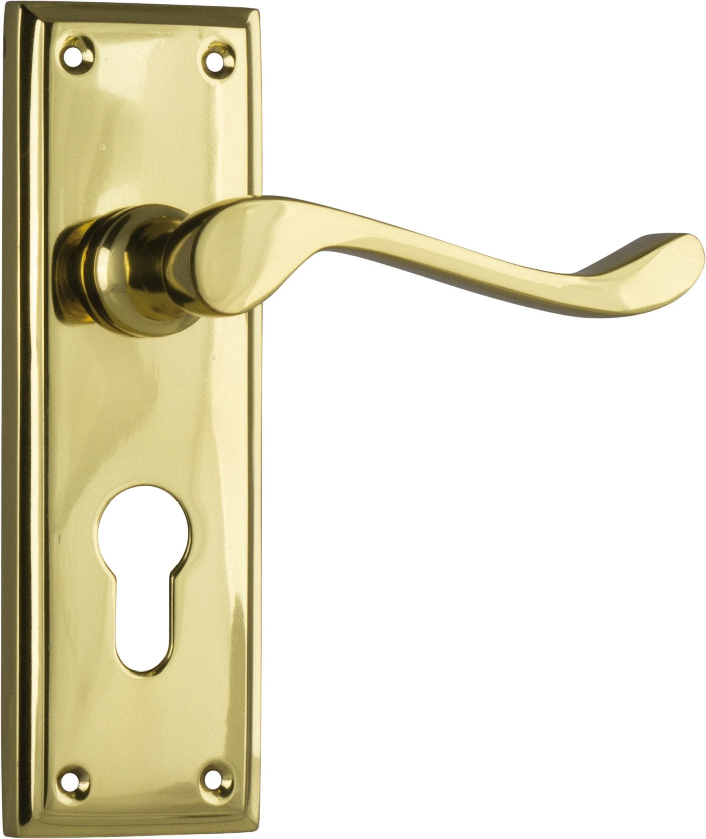 Camden Lever - Long Backplate