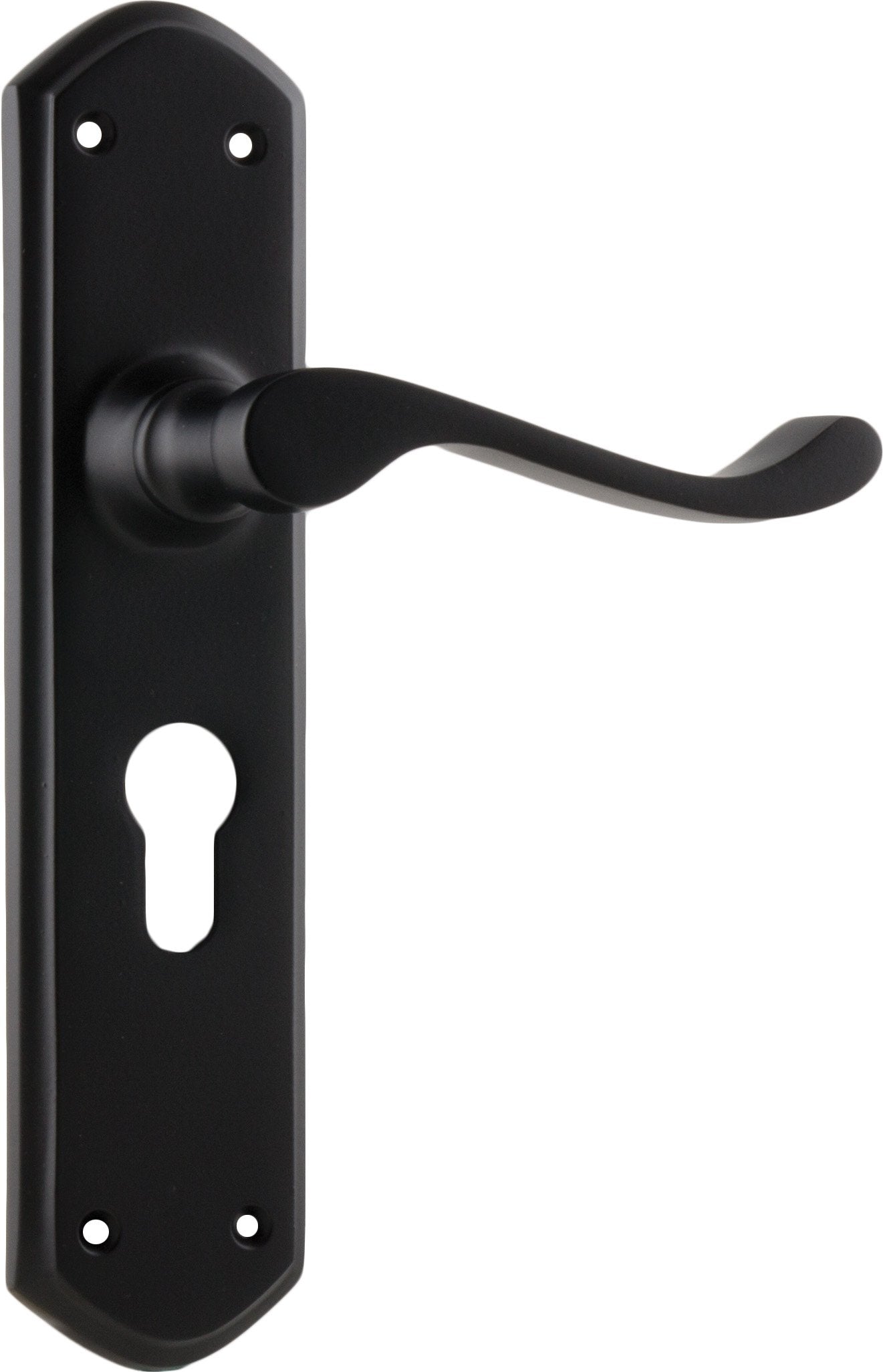 Windsor Lever - Long Backplate