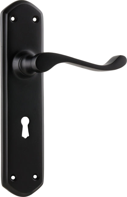 Windsor Lever - Long Backplate