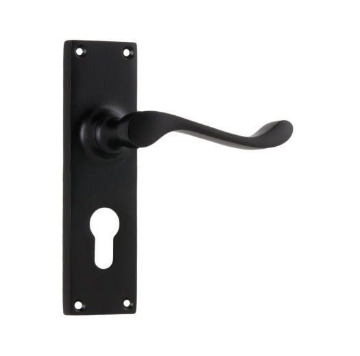 Victorian Lever - Long Backplate