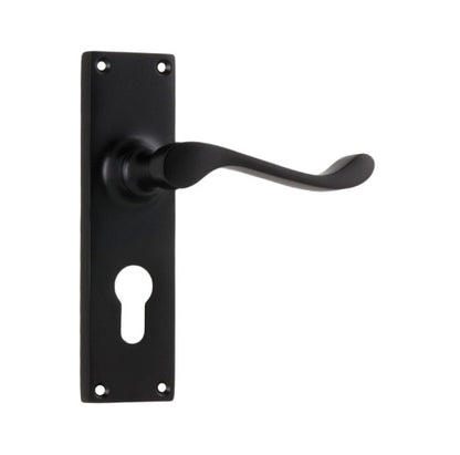 Victorian Lever - Long Backplate
