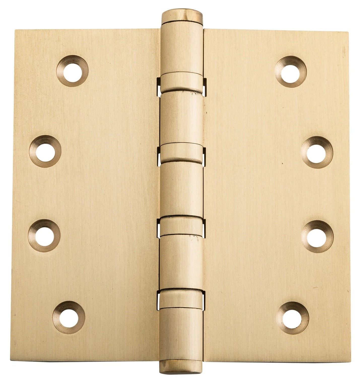 Ball Bearing Hinge – H100xW100mm