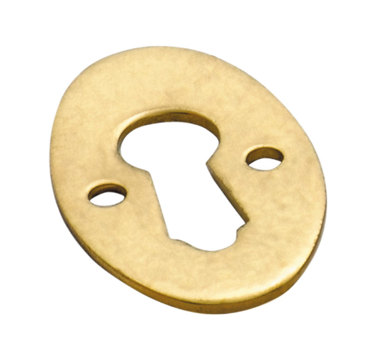 Oval Cupboard Escutcheon - Polished Brass