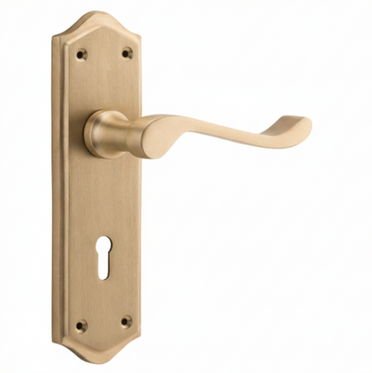 Henley Lever - Long Backplate