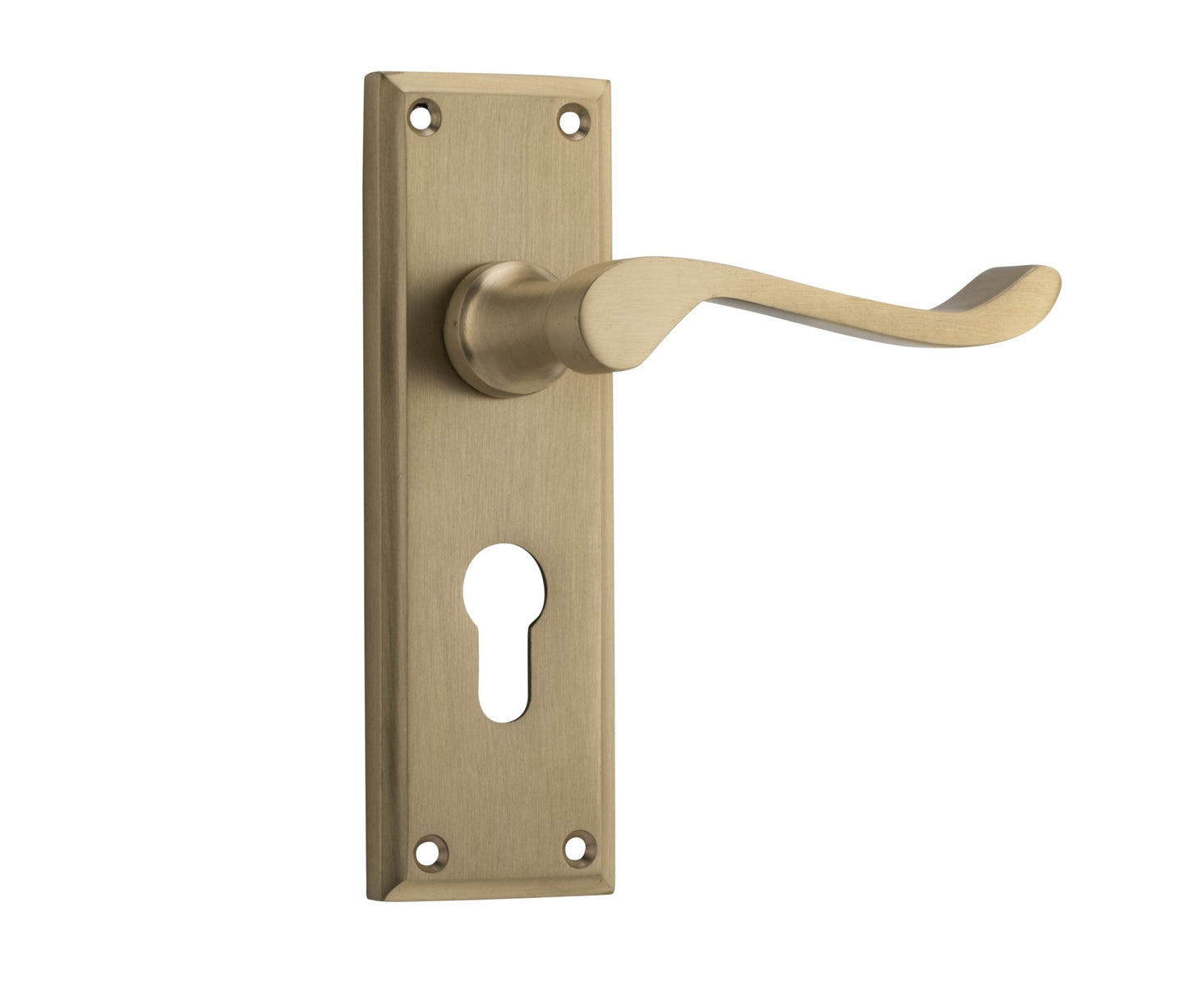 Camden Lever - Long Backplate