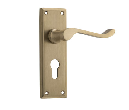 Camden Lever - Long Backplate