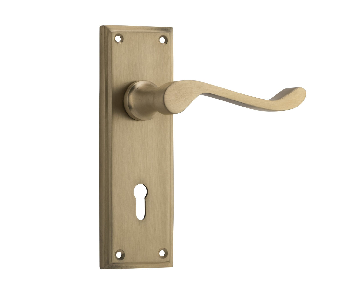 Camden Lever - Long Backplate