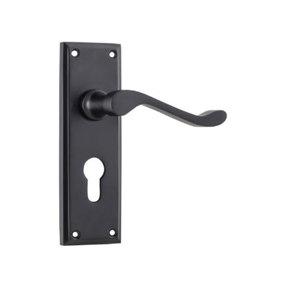 Camden Lever - Long Backplate