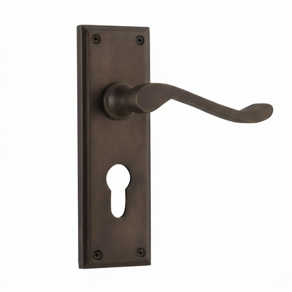 Camden Lever - Long Backplate