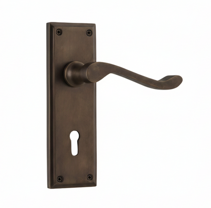 Camden Lever - Long Backplate
