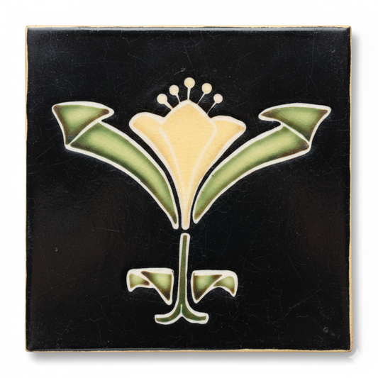 Yellow Flower, Black Background