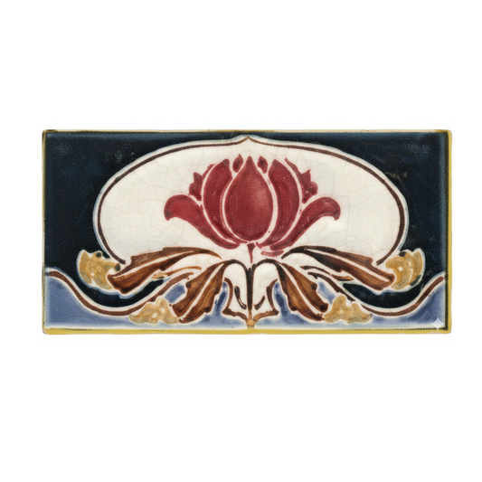 Waratah, Black & Blue Background