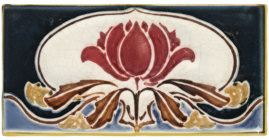 Waratah, Black & Blue Background