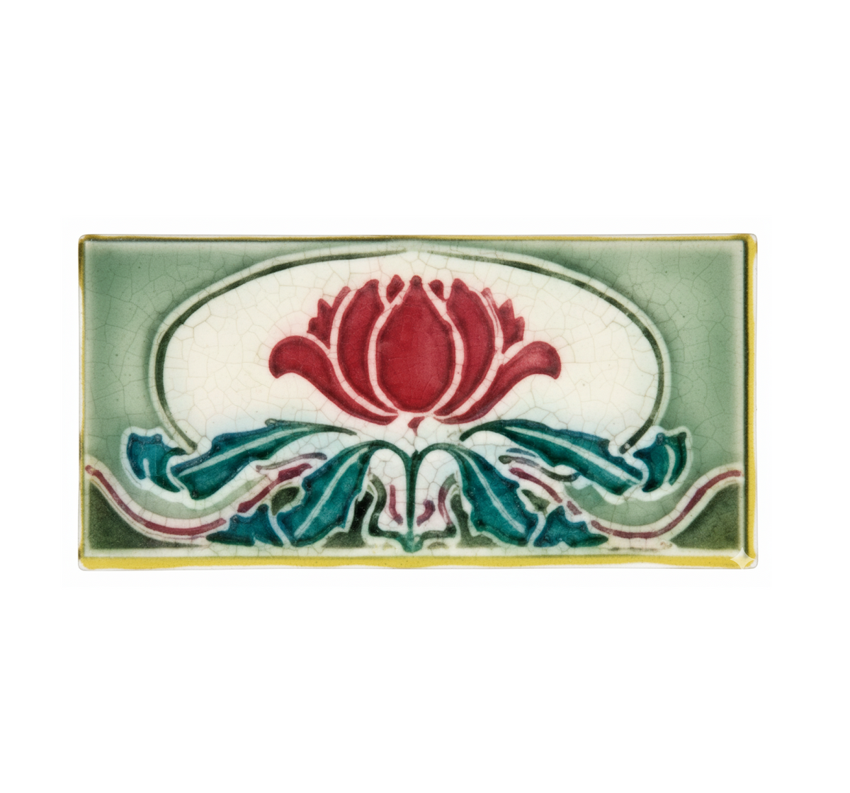Waratah, Light & Dark Green Background