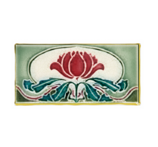 Waratah, Light & Dark Green Background