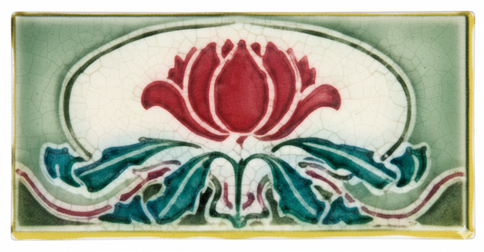 Waratah, Light & Dark Green Background