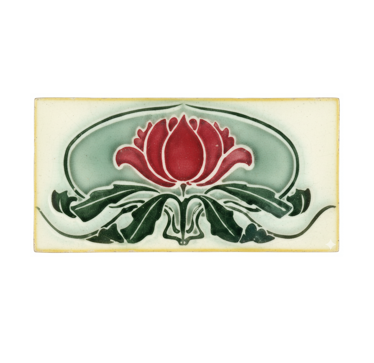 Waratah, Cream Background