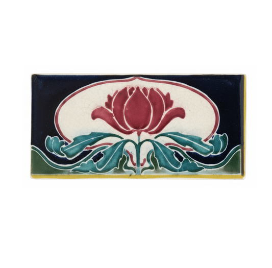 Waratah, Black & Green Background