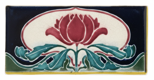 Waratah, Black & Green Background