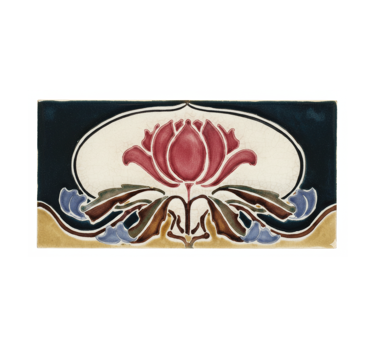 Waratah, Black & Gold Background