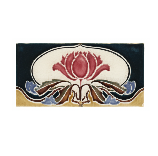 Waratah, Black & Gold Background