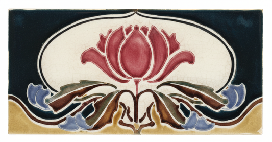 Waratah, Black & Gold Background